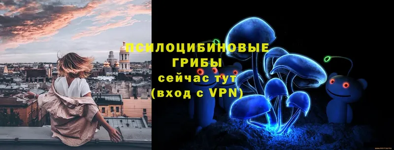 Галлюциногенные грибы Cubensis  Тюмень 